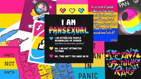 pansexual porn